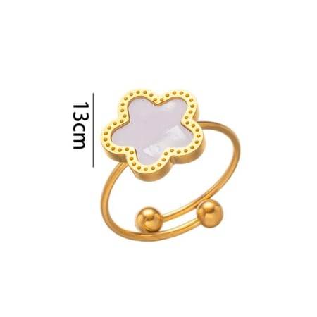 خاتم فان كليف من الستانلس ستيل