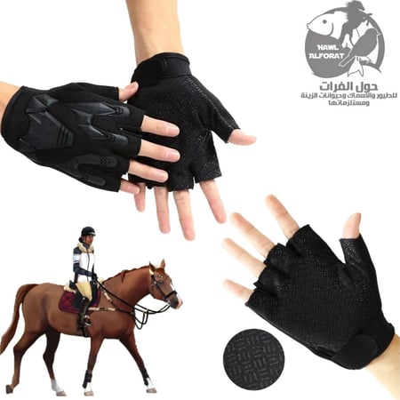 قفازات - حول الفرات