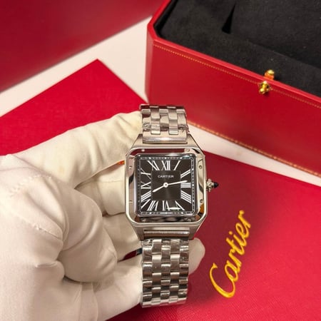 كارتير سانتوس دومو