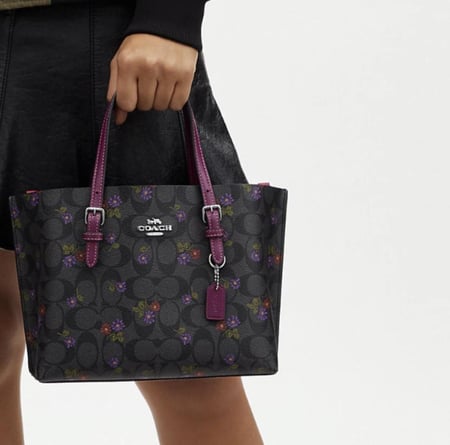 حقيبة يد كوتش