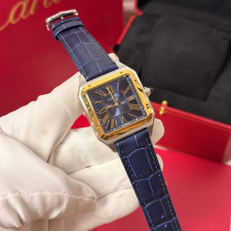 سانتوس دي كارتير