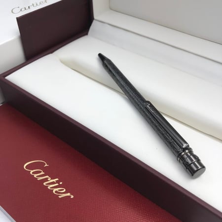 كارتير سانتوس صغير