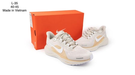 Nike Pegasus 41_نايكي بيجاسوس