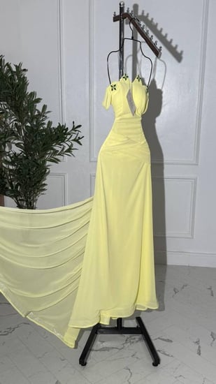 فستان ناعم باربي مع جورجيت ليموني مع تطريز