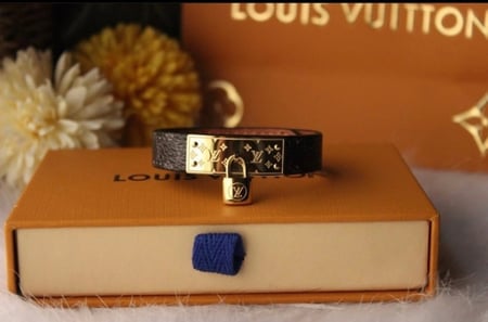 اسواره جلد بدون ملحقات