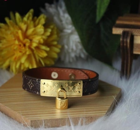 اسواره جلد بدون ملحقات