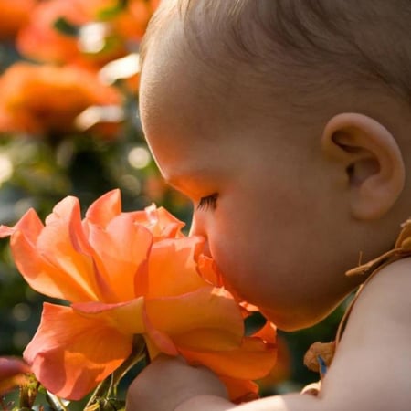 عطر للرضع GERMACARE