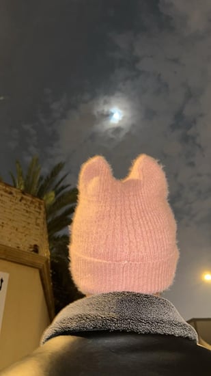 Kitty