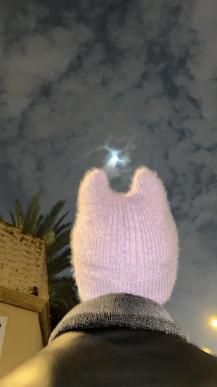 Kitty
