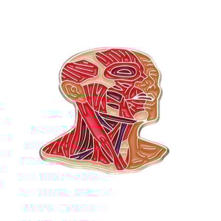 بروش وجه ورقبه