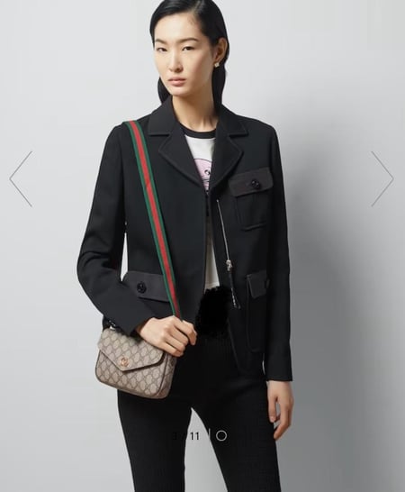 شنطة قوتشي gucci /مقاس ميني