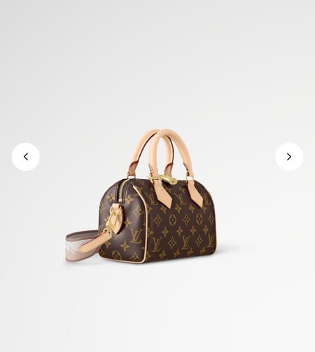 شنطة لوي فيتون سبيدي 20