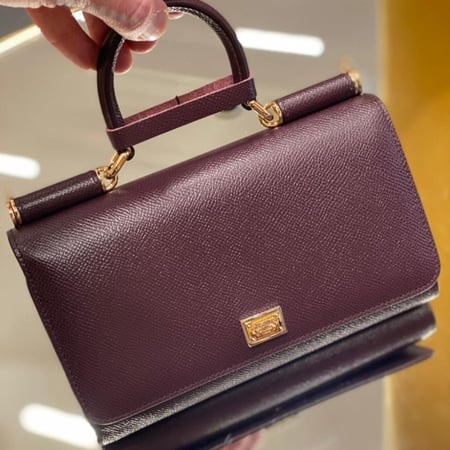 شنطة دولتشي اند غابانا