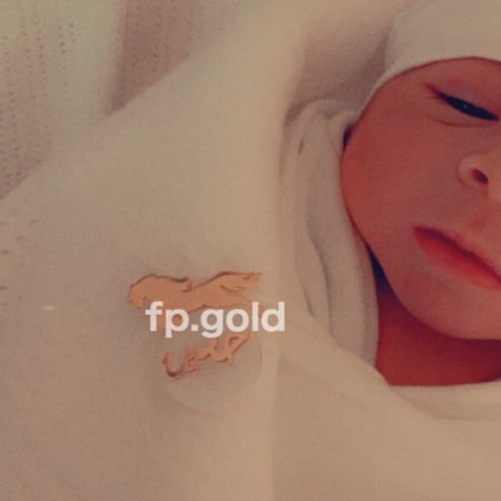 بروش صدف الحصان مطلي ذهب