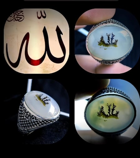 لفظ الجلاله مشجر حجر لا يتكرر واضح وصريح