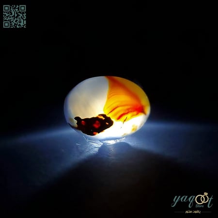 عقيق يمني مصور مميز شكل أرنب