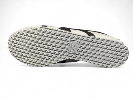 اسيكس تايجر كوين