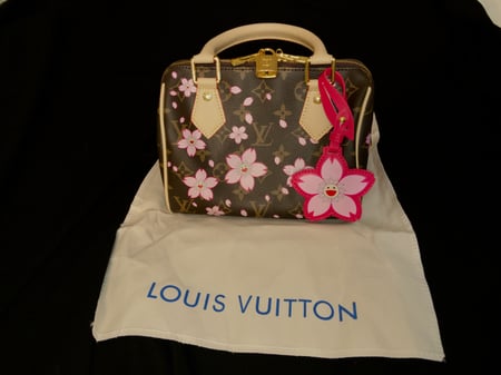 First copy - Louis Vuitton x Takashi Murakami - sakura brown, speedy 20 high quality