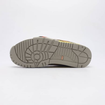 -Nike Air trainer