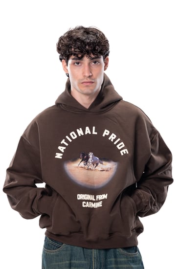 National Pride Oversized Hoodie