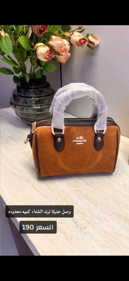 حقيبة يد نسائية من ماركة كوتش (Coach) موديل"Mini Rowan Crossbody Bag"