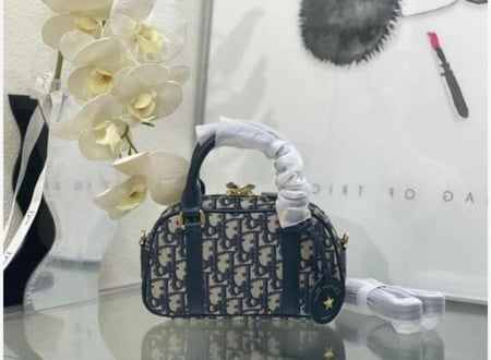 تشكيلة متنوعة من حقائب اليد النسائية من ماركة ديور(Dior )