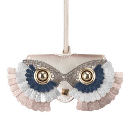 حافظة نظارات