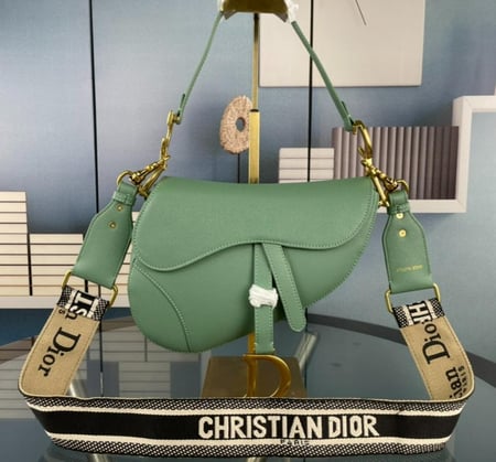 ديور Dior saddle