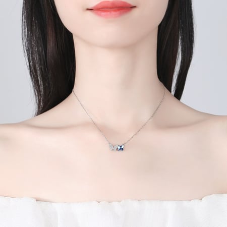 مجموعة فراشة كاسيلا