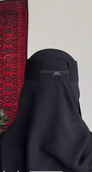 نقاب مشبك
