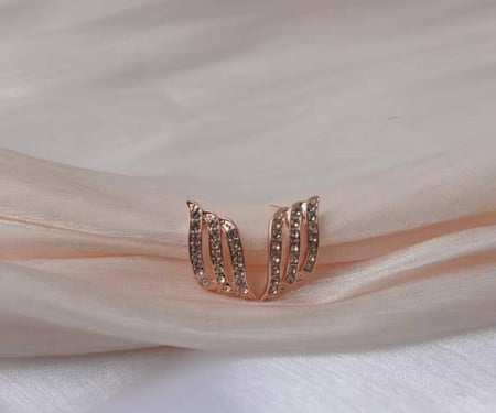 حلق أذن ستو