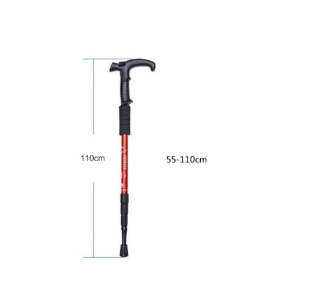 عصا الرحلات والتزلج - عصا المسير الطويل hiking