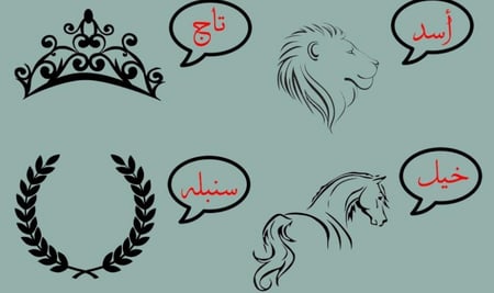 فروه شتوية أنيقة ودافئة