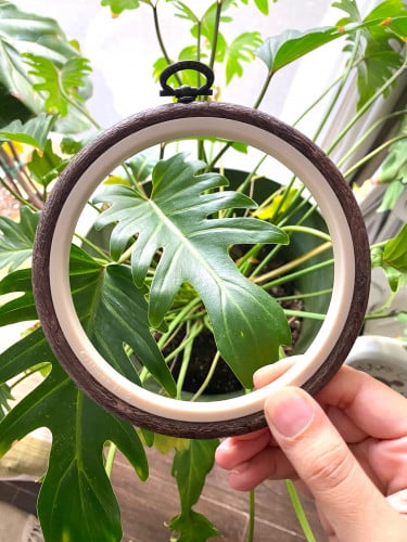 طارة سيلكون بني غامق 14 سم