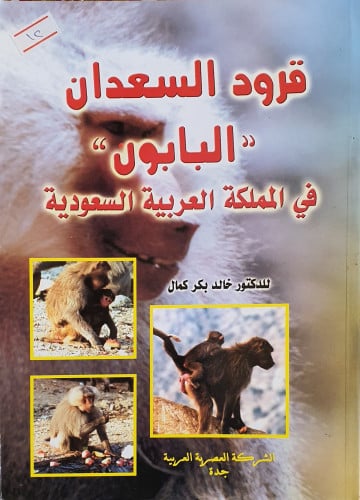 قرود السعدان البابون في المملكة العربية السعودية