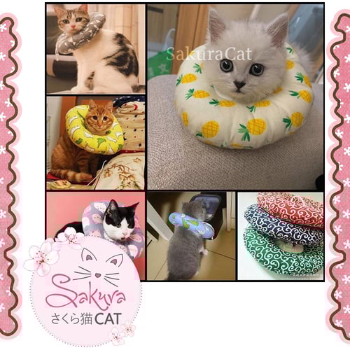 طوق للحماية - شكل رسوم وجه القطة -