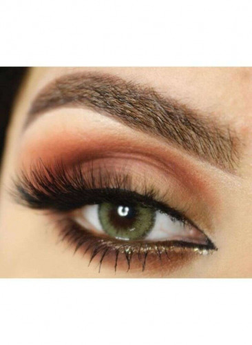 Contact Lenses