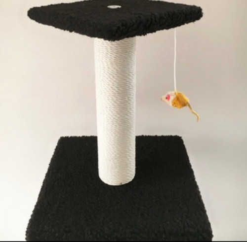 خداشة صغيرة