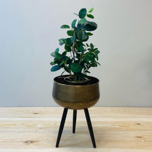 مركن حديد برونزي بارجل حديد S