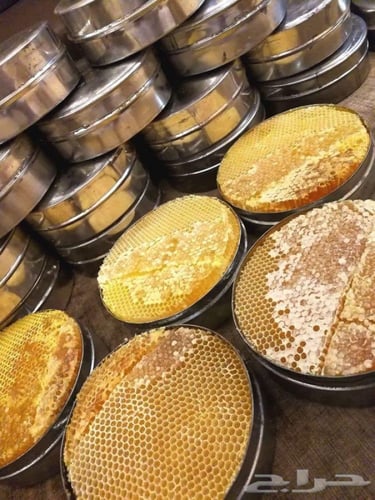 خلية نحل عصيمي - 1كجم