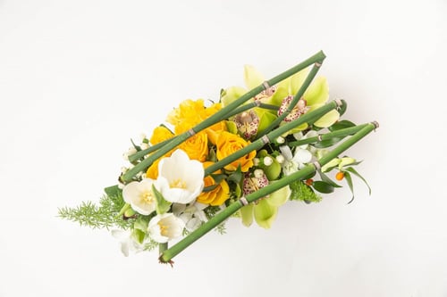 مزهرية انا بجانبك