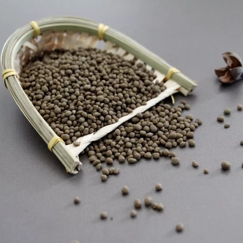 سماد للأشجار والنخيل