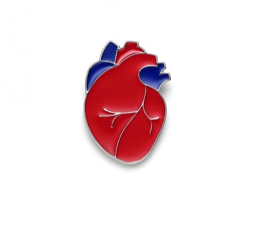 بروش القلب الأحمر | 700