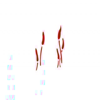 استنسل WP-109، مقاس A4 من الساطع