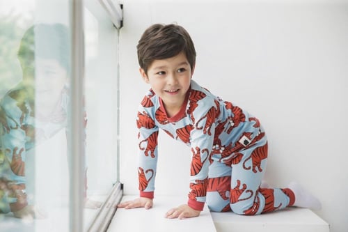 بجامة النمر