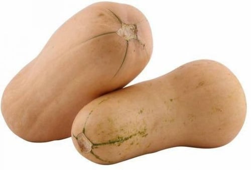 بذور القرع الامريكي