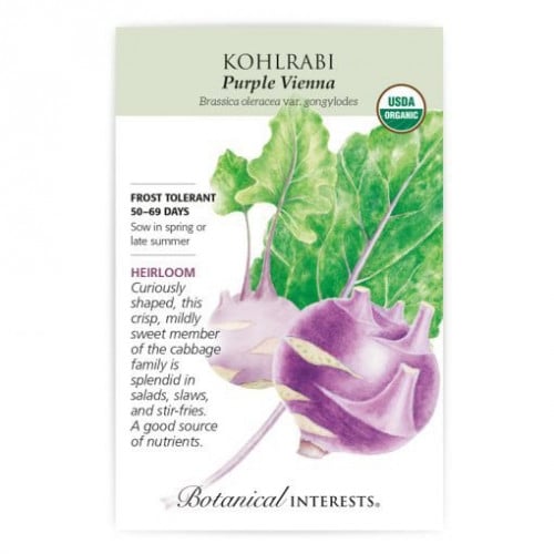 بذور كولارابي - kohlrabi Seeds