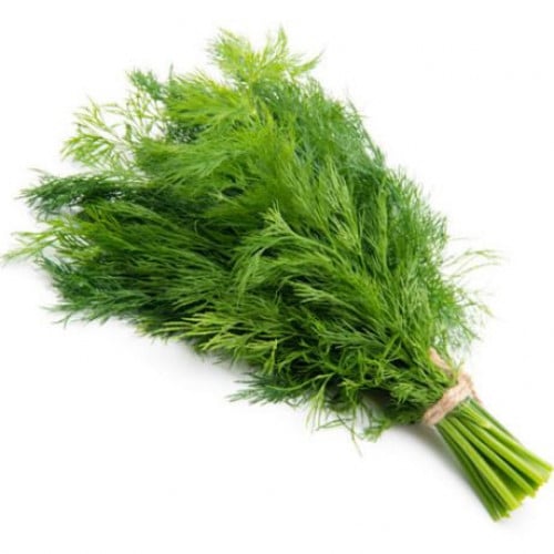 شبت شدة (مزارع محلية)