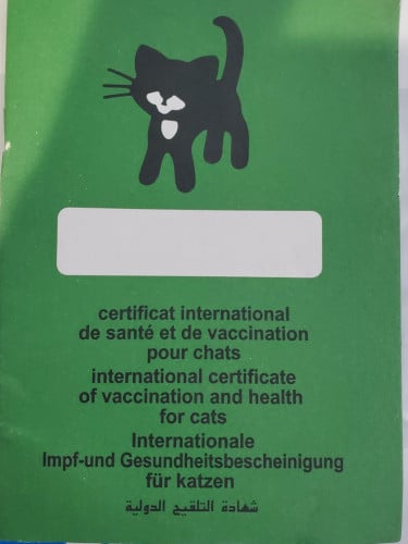 شهاده تطعيم قطط