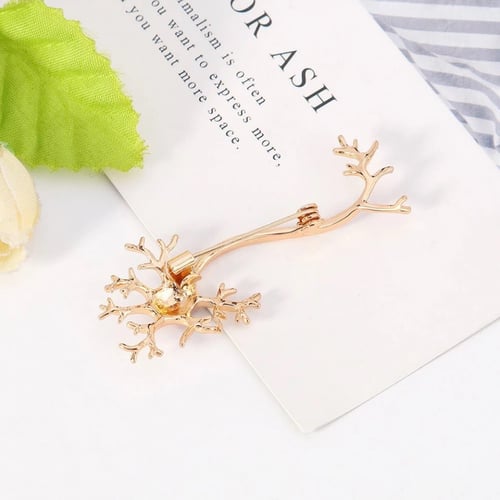 بروش الجهاز العصبي